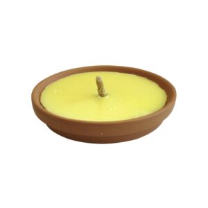 Citronella profumata in terracotta