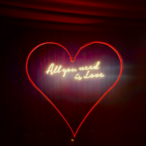 Cuore led diametro “All you need is love”