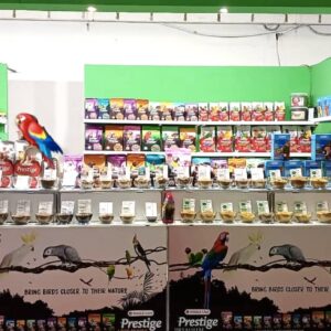 Stand fieristico con pareti modulari e nicchia espositiva